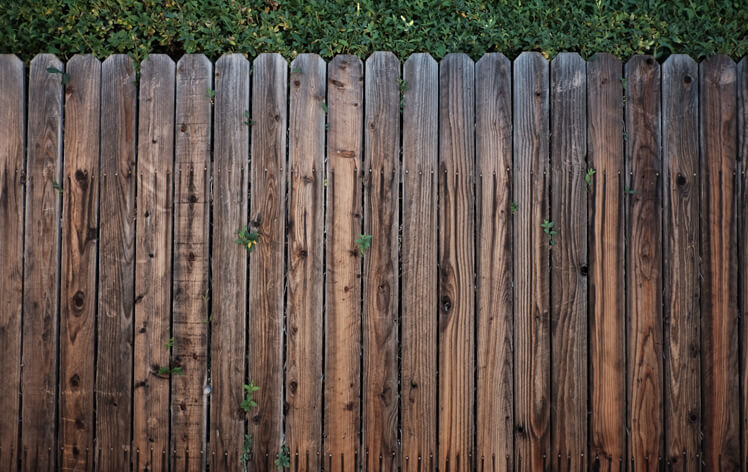 toms tree and landscape garden fencing experts in essex