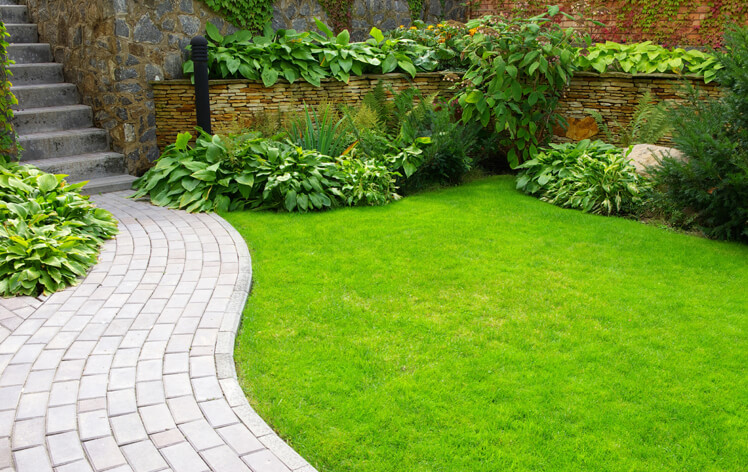 toms tree and landscape landscaping experts in essex